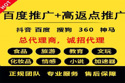 SEM代运营案例分析：精准投放策略解析